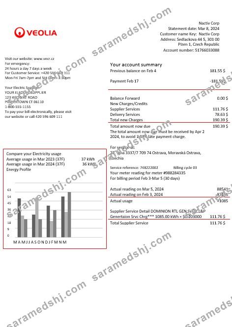 Czechia Veolia Energy Czech Republic energy business utility bill in word and pdf formats1